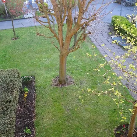 アパート Opaline T3 Lumineux Avec Patio Et Parking Prive *